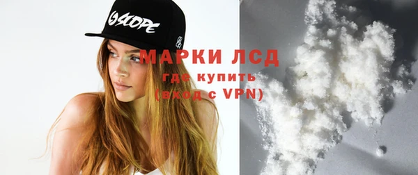 прущие грибы Аркадак