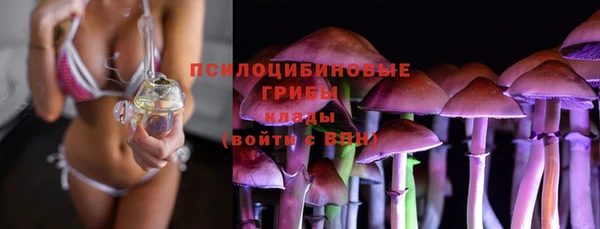 прущие грибы Аркадак