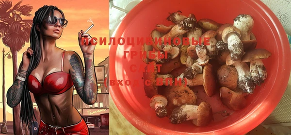 соль курить ск Алзамай