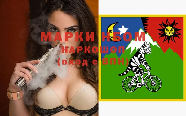 прущие грибы Аркадак